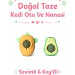 PHENORA Doğal Taze Kedi Nane ve Kedi Otu Yalama Topu - Çok Renkli