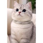 PHENORA Parlak Taş Detaylı Kedi Tasması - Konforlu Hafif Kedi Kolyesi
