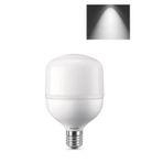 Philips 20W (55W) Tasarruflu Jumbo Pazar Ampulu Beyaz Işık 865 (553528802)