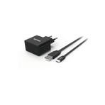 Philips DLP2502M Micro USB Seyahat Şarj Cihazı