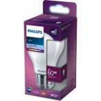 PHILIPS FILAMENT 60W BUZLU AMPUL GÜN IŞIĞI 4000K - Gün Işığı - 1 - 10 W