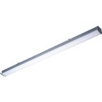PHILIPS Led Etanj Armatür WT066C NW LED36 L1200 4000K Günışığı