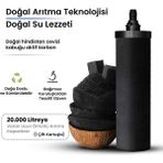 PHOENIX GRAVITY Akıllı Aktif Karbon Filtre Kartuşu