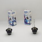 Photon Honda Accord D2S Xenon Ampul Photon 6000K