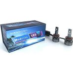 Photon Milestone H11 24 V LED Xenon