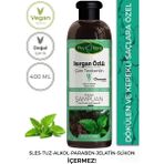 Phytoflora Isırgan Özlü Çam Terebentin Özlü 400 ml Bitkisel Şampuan