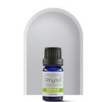 Phytoil 10 ml Kişniş Yaprağı Uçucu Yağı