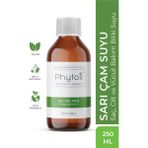 Phytoil 250 ml Sarıçam Saç Cilt ve Vücut Bakım Bitki Suyu