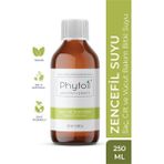 Phytoil Zencefil 250 ml Saç Cilt ve Vücut Bakım Bitki Suyu