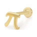 Pi Model Tragus Piercing