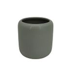 Pier Diş Fırçalık 19G147-3G Yeşil