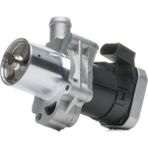 Pıerburg 7.24809.65.0-EGR Valfı Mercedes Sprınter 315 Cdı A6461420119