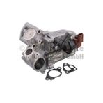 Pıerburg 703622060 Egr Soğutucusu Valfi Doblo-Grande Punto-Punto EVO-500-ASTRA J-Corsa D 1.3dmtj-Cdti Euro5