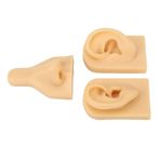 Piercing Egzersizleri için Silikon Burun Kulak Modeli 3D Simülasyon Burun Kulak Modeli Seti (Açık Bej)