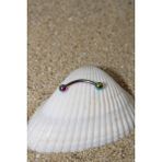 Piercing Kaş Piercing Snug Cerrahi Çelik Gökkuşağı Renk Top Çap 3 mm - 10 mm
