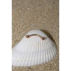 Piercing Kaş Piercing Snug Cerrahi Çelik Rose Renk Top Çap 3 mm - 8 mm