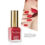 Pierre Cardin 048 Studio Nails Oje