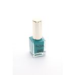 Pierre Cardin 072 Studio Nails Oje