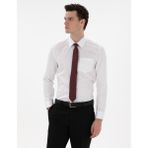 Pierre Cardin Erkek Beyaz Parlak Saten Regular Fit Uzun Kollu Basic Gömlek 50302972-VR013 - XL