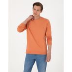 Pierre Cardin Erkek Somon 2 Iplik Regular Fit Bisiklet Yaka Basic Sweatshirt 50314054-VR047 - 2XL