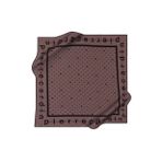 Pierre Cardin Kahverengi Kadın Desenli Eşarp 8940230315