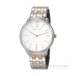 Pierre Cardin PC106991F08 Erkek Kol Saati