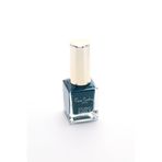 Pierre Cardin Studio Nails Oje -074,Çok Renkli Tek Ebat