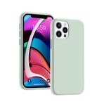 Piili iPhone 12 Pro Max Lansman Kapak Yeşil Kılıf