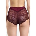 Pijama Pazarı 586 Kadın Yüksel Bel Arkası Dantelli Külot-bordo BORDO L