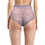 Pijama Pazarı 586 Kadın Yüksel Bel Arkası Dantelli Külot-çinko ÇİNKO XL