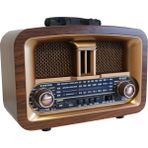 Pileli Store Bluetooth Usb/sd/aux/fm Nostalji Radyo RT-876 - Renkli