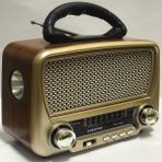 Pileli Store Bluetoothlu Nostaljik Radyo USB Mp3 Player RT-819 - Renkli