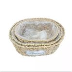 Pilelistore- Oval Doğal Hasır Saksı Seti - 3'Lü
