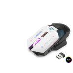 pilelistore W19 Kablosuz Gaming Mouse Dual Mod 10000 Dpi 7 Tuş Makro 1000 Hz Rgb - Siyah Beyaz