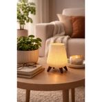 Pilli Led Mumlu Modern Dekoratif Mini Masaüstü Lambası | Sunumluk ve Masaüstü Dekoratif Işık (1)