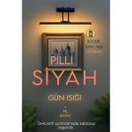 Pilli Mat Gün Işığı Kuğu Aplik Ayna Üstü Aydınlatma Duvar Tablo Aydınlatma Dekorasyon A+