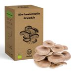 PilzWald GrowKit – Yemek mantarlarını kendiniz yetiştirin – Yeni başlayanlar için mantar yetiştirme seti, sprey şişesi ve resimli kılavuz (Türkçe olmayabilir), ev ve bahçe için mantar yetiştirme seti