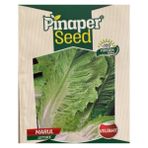 Pinaper Seed Marul Tohumu - Veliaht - 10GR - 1 Adet