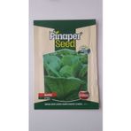 Pinaper Seed Marul (Yedikule) %100 Yüksek Verimlidir.