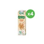 Pınar 1 lt Nature Blend Yulaf Sütü