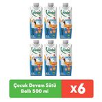 Pınar Çocuk Devam Sütü Ballı 500 Ml X 6 Adet