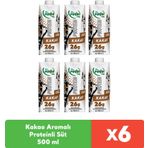 Pınar Kakaolu Protein Süt 500 ml x 6 adet