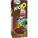 Pınar Kido Kakaolu Süt 180 ml x 27 Adet