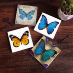 Pinecone 4 Parça Set 10X10 cm Stone Coasters Kelebek Taş Bardak Altlığı Masaüstü Koruyucu Altlık