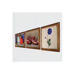 Pinecone Ebru Sanatı, Kaplumbağa Terbiyecisi, Nar Taş Duvar Tablosu - Ahşap Çerçeveli Taş Tablo - 25x25 cm - 3 Parça Set - Dekoratif Duvar Sanatı - Modern Ev ve Ofis Duvar Dekoru W3-1540