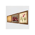 Pinecone Lale Ebru Sanatı, Leonardo da Vinci Vitruvius Adamı, Nar Taş Duvar Tablosu - Ahşap Çerçeveli Taş Tablo - 25x25 cm - 3 Parça Set - Dekoratif Duvar Sanatı - Modern Ev Duvar Dekoru W3-1364