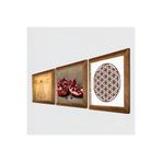 Pinecone Yaşam Çiçeği, Leonardo da Vinci Vitruvius Adamı, Nar Taş Duvar Tablosu - Ahşap Çerçeveli Taş Tablo - 25x25 cm - 3 Parça Set - Dekoratif Duvar Sanatı - Modern Ev ve Ofis Duvar Dekoru W3-1369
