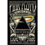 Pink Floyd 1973 Temalı Dekoratif Poster Ahşap Retro Tablo