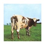 Pink Floyd Atom Heart Mother (2016 Remastered) Yeni Baskı 33'lük Plak