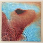 Pink Floyd Meddle Lp Plak (2016 Avrupa Baskı Plak)